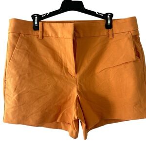 Loft Women's Orange Tailored Cotton Shorts sz 8